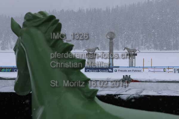 IMG 1326 prot